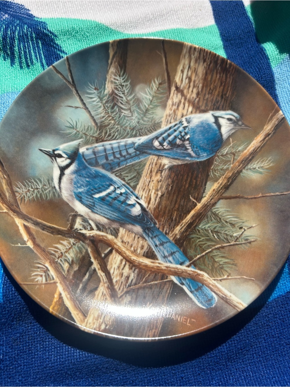 Knowles Blue Jay Decorative Plate – Blue and Brown
